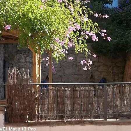 Appartement Avec Jardin Privatif Centre Ville Hyères المظهر الخارجي الصورة